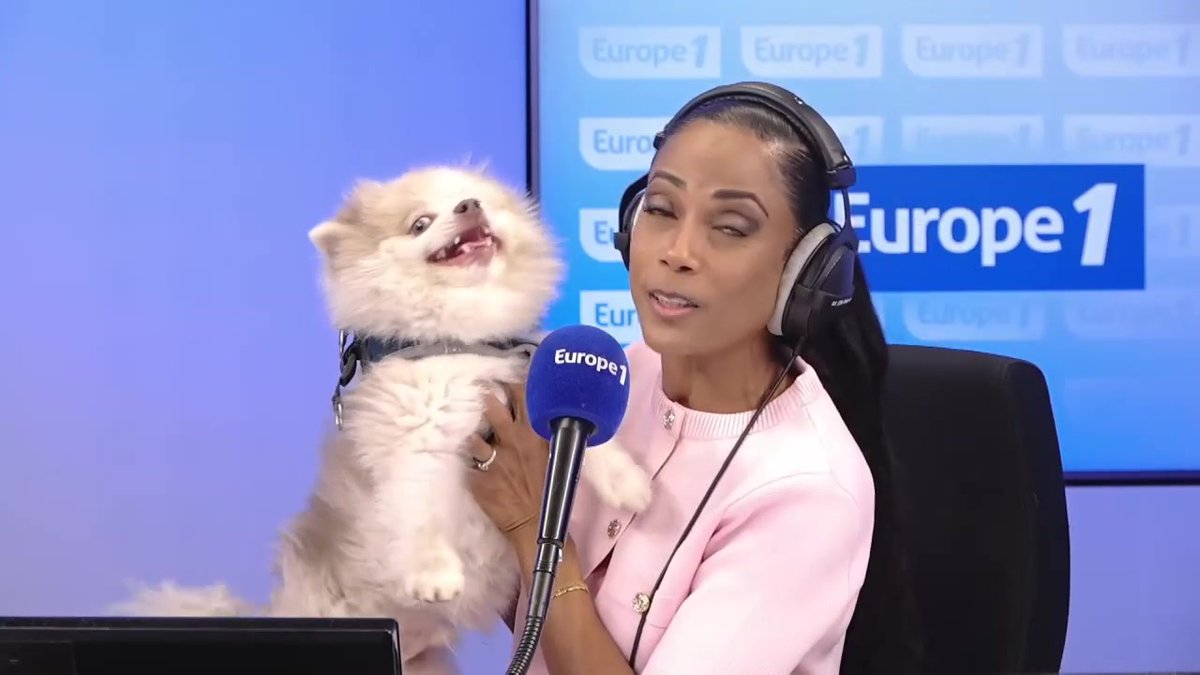 Surprise pour la journée mondiale du chien ! 🤩 ➡️ Dans #ChristineKellyEtVous, Christine KELLY reçoit la visite de son chien Parker ! 🐶 #Europe1