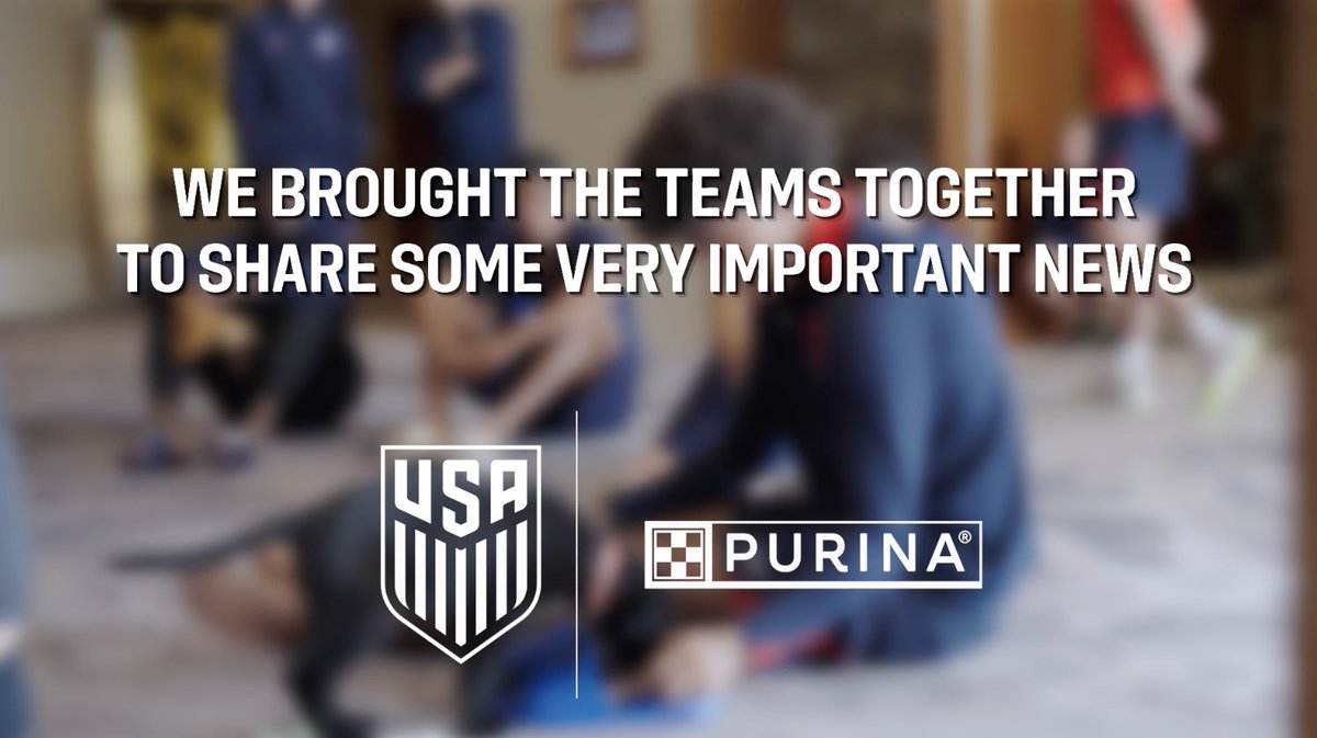 From the pitch to your living room, pets are part of the team. Excited to partner with Purina as they join us as our first-ever Official Pet Care Partner. 🐾