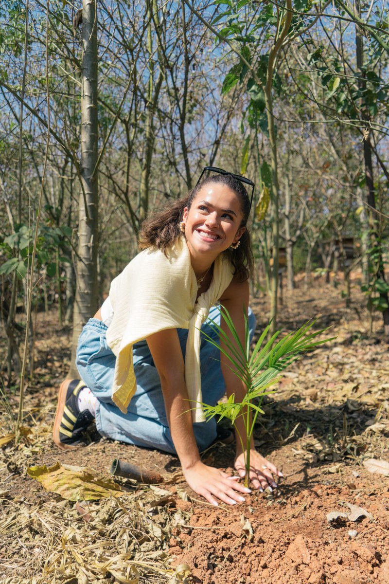 UM POST = UMA ÁRVORE 🌳 Esse é o compromisso socioambiental da minha agência (MUDAH) com a restauração da Mata Atlântica através da Copaíba. Tenho muito orgulho dessa parceria que se iniciou há 4 anos e é tão significativa!
