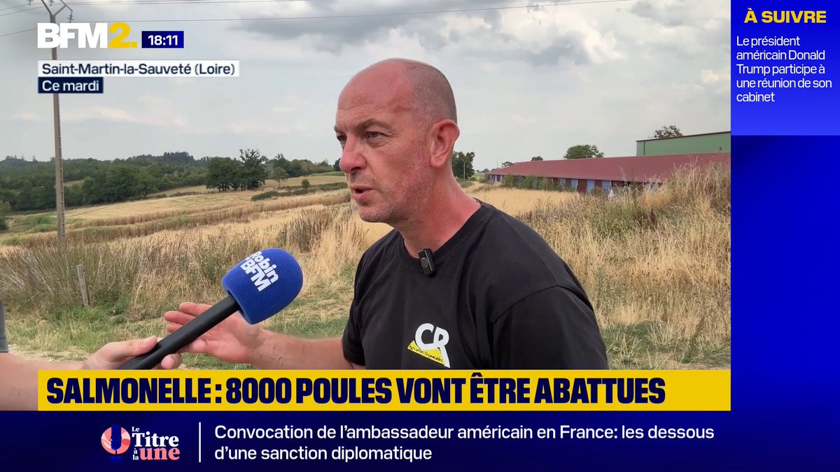 8.000 poules abattues: "Toutes nos poules étaient réservées donc on a perdu 30.000€ de vente" Maxime Chaffangeon, éleveur bio de poules dans la Loire, doit abattre 8.000 poules après une qu'une analyse dans son exploitation a décelé la présence de salmonelle "dans l'air". #BFM2