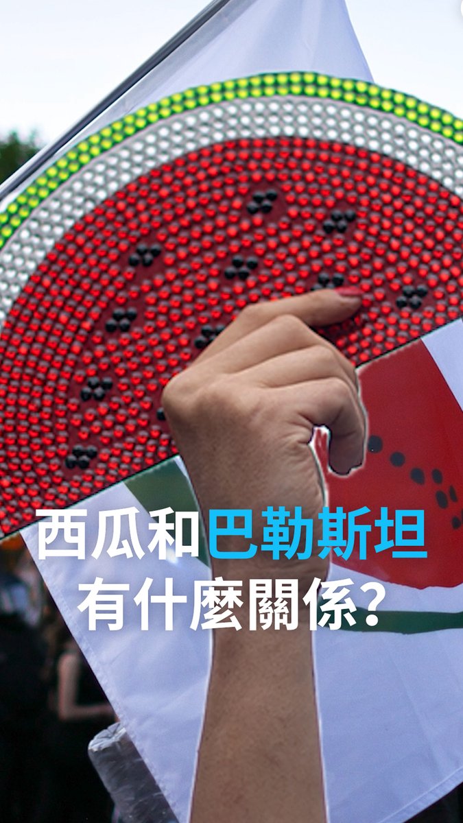 西瓜和巴勒斯坦有什么关系？ 在支持巴勒斯坦的抗议活动中，你经常会看到标语或旗帜上出现西瓜图案。这背后与文化、艺术以及巴勒斯坦历史息息相关。#dwhistoryandculture