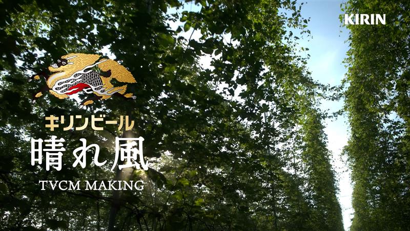 / 新TVCMメイキング公開中📺 \ 1年で一番暑い時期に行われる ホップの収穫に目黒さんが初挑戦🍺 ヘルメット姿にも注目です🧑🌾 #キリン晴れ風 #目黒蓮