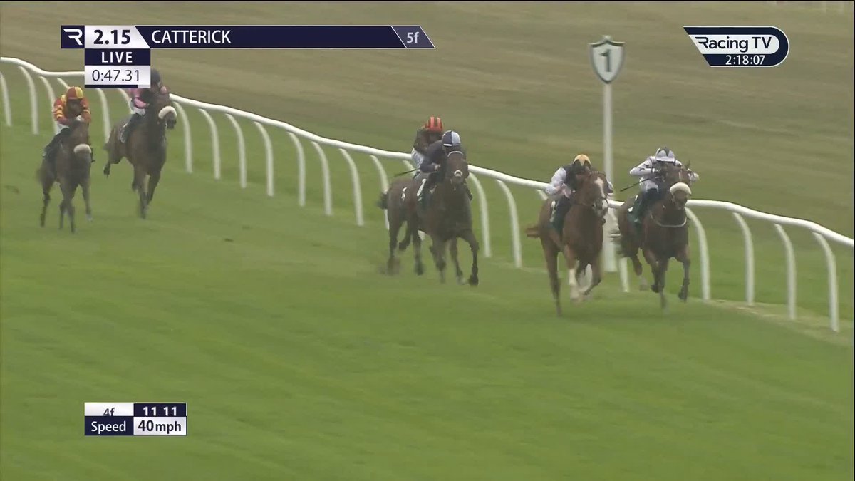 Keep your eyes on the horse in 2nd 👀 DESCRIBE THAT RIDE IN ONE WORD... 🎬 Racing TV