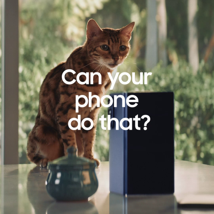 The all-new #GalaxyZFold7 is the purr-fect phone for those who want more. Do like Dylan Efron and Jake Shane and enjoy double the videos on double the screen. Can your phone do that? #GalaxyAI Get yours here: