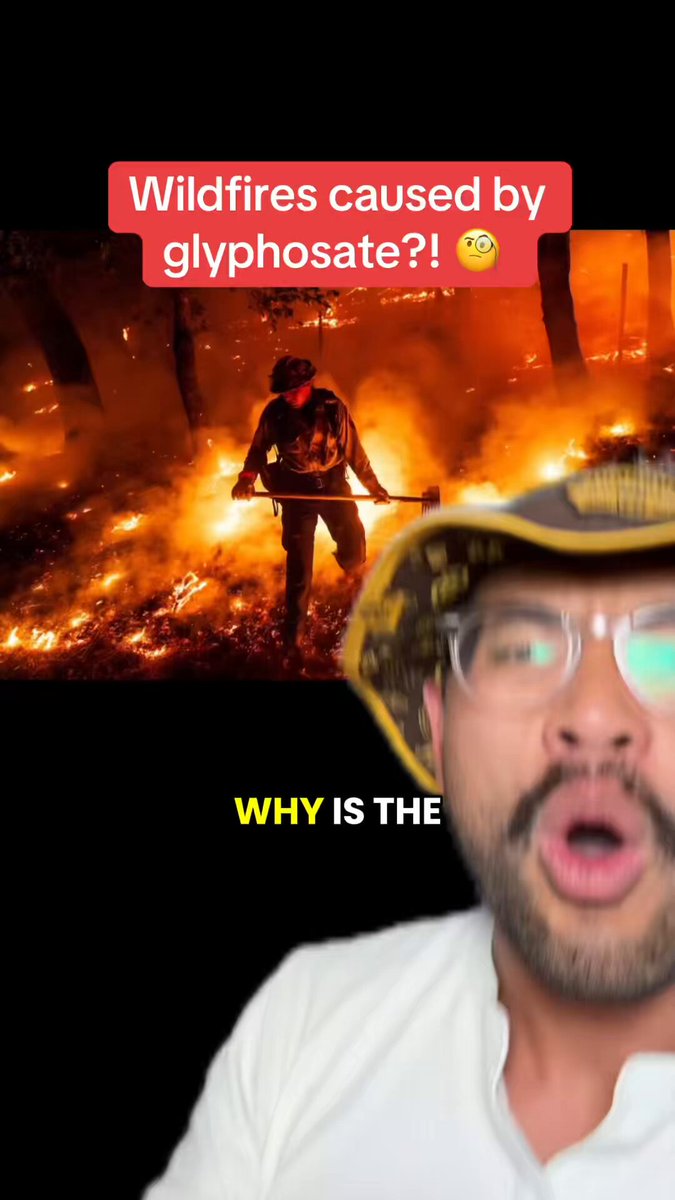 We’re told wildfires are caused by “climate change.” But did you know the forestry industry sprays glyphosate to kill off “unprofitable” trees — a practice experts warn makes fires worse? It’s always profits over people. 😩