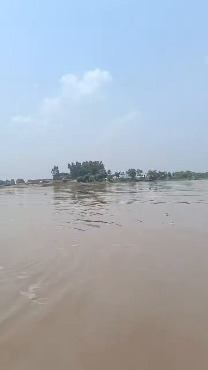 کمبخت پٹھانچے مرتے ہیں تو روتے ہوئے۔۔ پنجاب کو گالیاں دیتے ہوئے۔۔۔ ادھر، الحمدللہ، پنجابی ہنستے کھیلتے سیلاب سے نپٹ رہا ہے🐃😜🐃