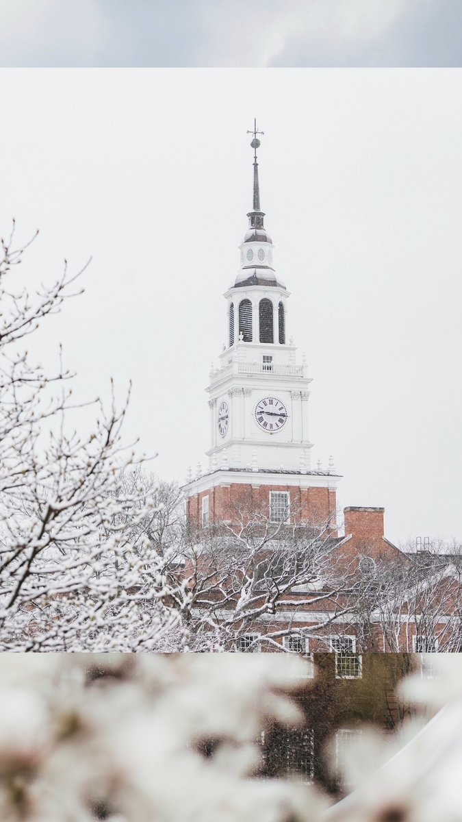 Beautiful in every season 💚