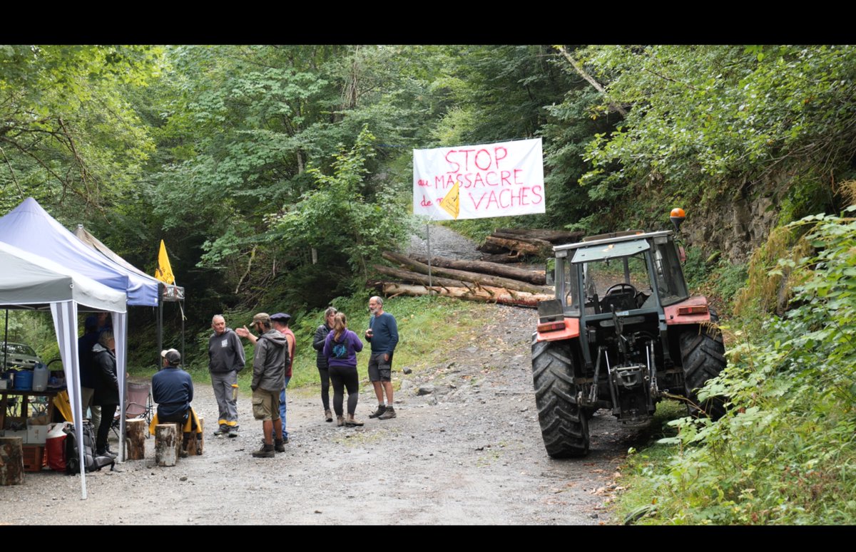 En Haute-Savoie, à 1 000 mètres d’altitude, des agriculteurs ont mis en place un barrage pour empêcher l’abattage d’un troupeau de vaches. Selon le ministère de l’agriculture, l’abattage est la seule façon d’empêcher la propagation du virus de la DNC. Images : Jean Bexon