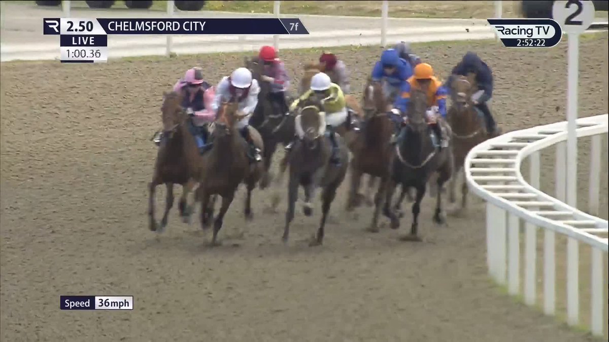 🔵 340,000gns buy Archer Royal (Blue Point) stays on powerfully to make a winning debut for team Godolphin