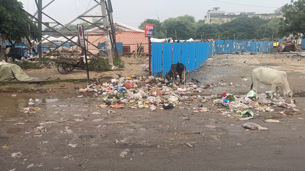 🚨 Weeks have passed, Wazirabad still stinks under garbage. MCG you’ve turned the city into a dump yard. Resignations &amp; suspensions are the ONLY Solution. Enough of EXCUSES. 🙏