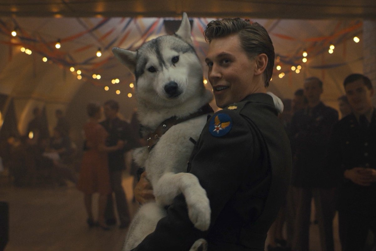 Take 19 seconds to watch Austin Butler dancing with a dog. #MastersOfTheAir — Now Streaming