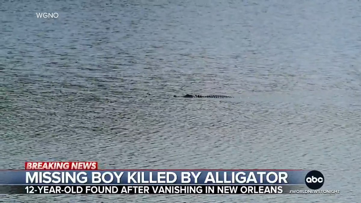 A horrific alligator attack in New Orleans has left a 12-year-old boy dead, authorities say. Bryan Vasquez, who police say is non-verbal, vanished two weeks ago and was found by Cajun Navy searchers in an alligator infested pond. Victor Oquendo reports.