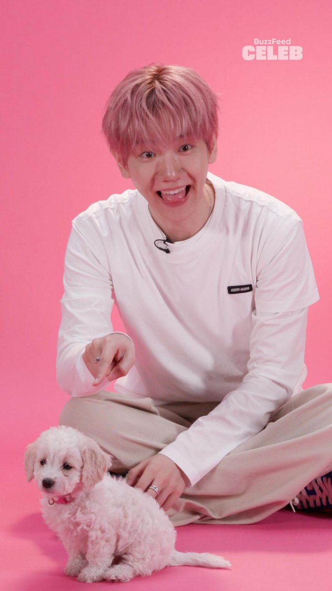 barking because you make us wild, BAEKHYUN 😭🐶 watch him react to the fandom here: 🐾🔥 #BAEKHYUN