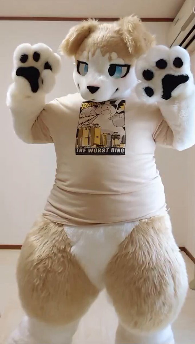 いぬ、かわいいの着れてよかったね #FursuitFriday