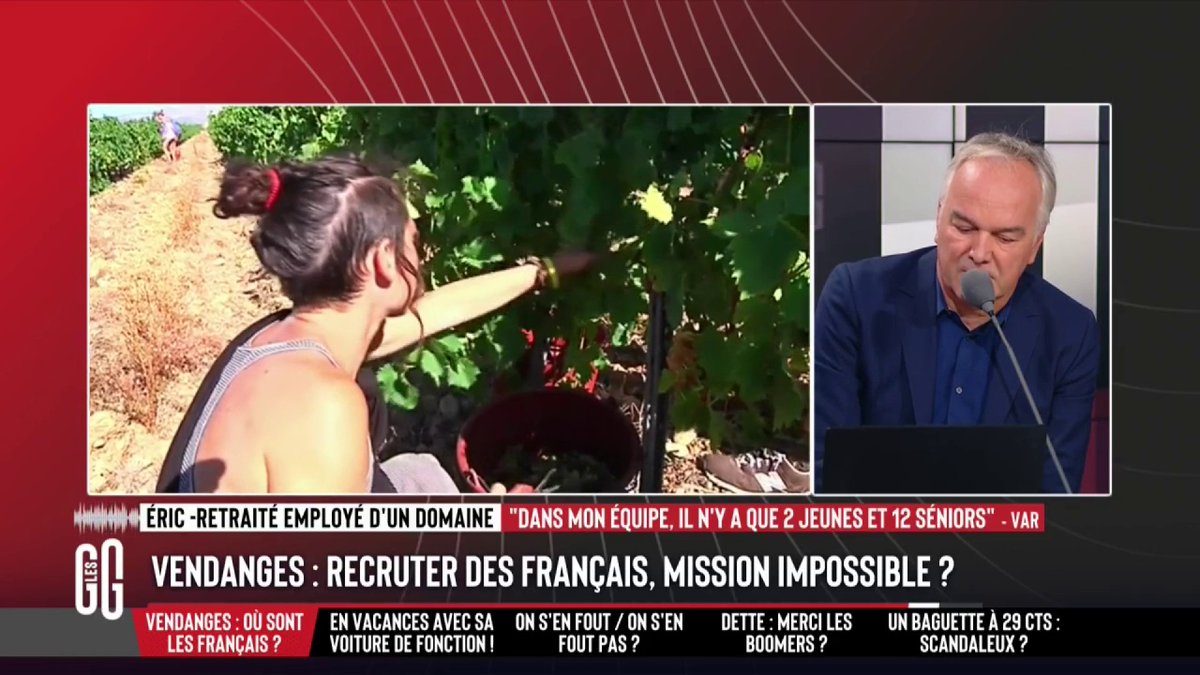 🍇 Vendanges : recruter des Français, mission impossible ? 📞 Eric : "On est 14 à vendanger, que des Français, mais il y a juste 2 jeunes... Le travail est très dur et c'est payé 11,88€ brut de l'heure ! À ce prix-là, personne ne veut... Le retraité n'est pas fainéant !" #GGRMC
