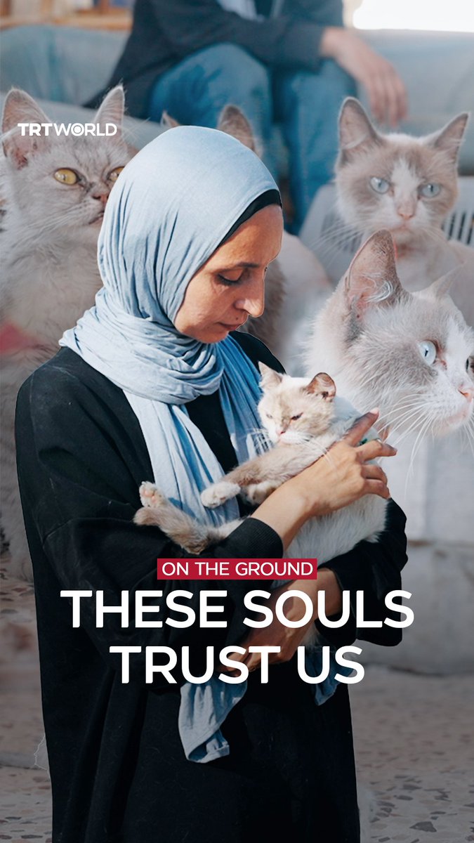 “Someone hear their voices, someone see the suffering of these souls who can’t speak” Rania Murad, who has cared for cats for over five years, lost over half of them to starvation and disease during Israel’s war on Palestine’s Gaza. This is her story