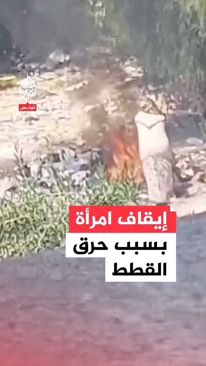 في حادثة أثارت غضبا واستياء واسعين.. الأمن التونسي يوقف امرأة قتلت وحرقت عددا من القطط بمادة البنزين