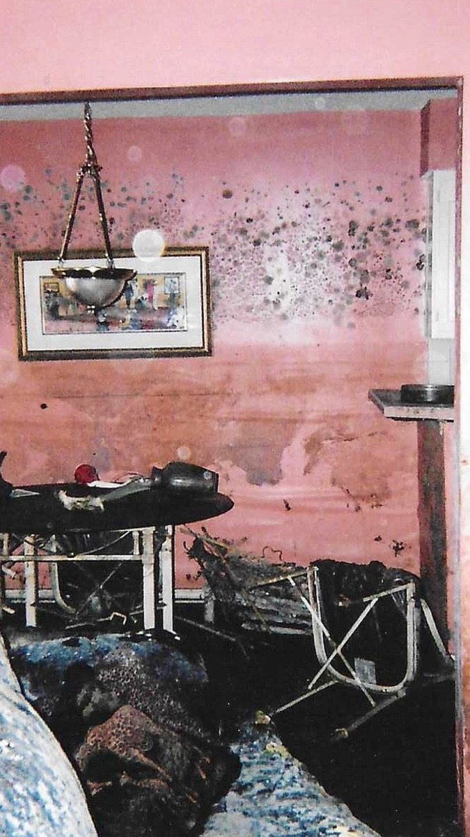 Cierra Chenier is a writer, historian and storyteller born and raised in New Orleans. She was a child when Hurricane Katrina destroyed her family's home. Read her story: