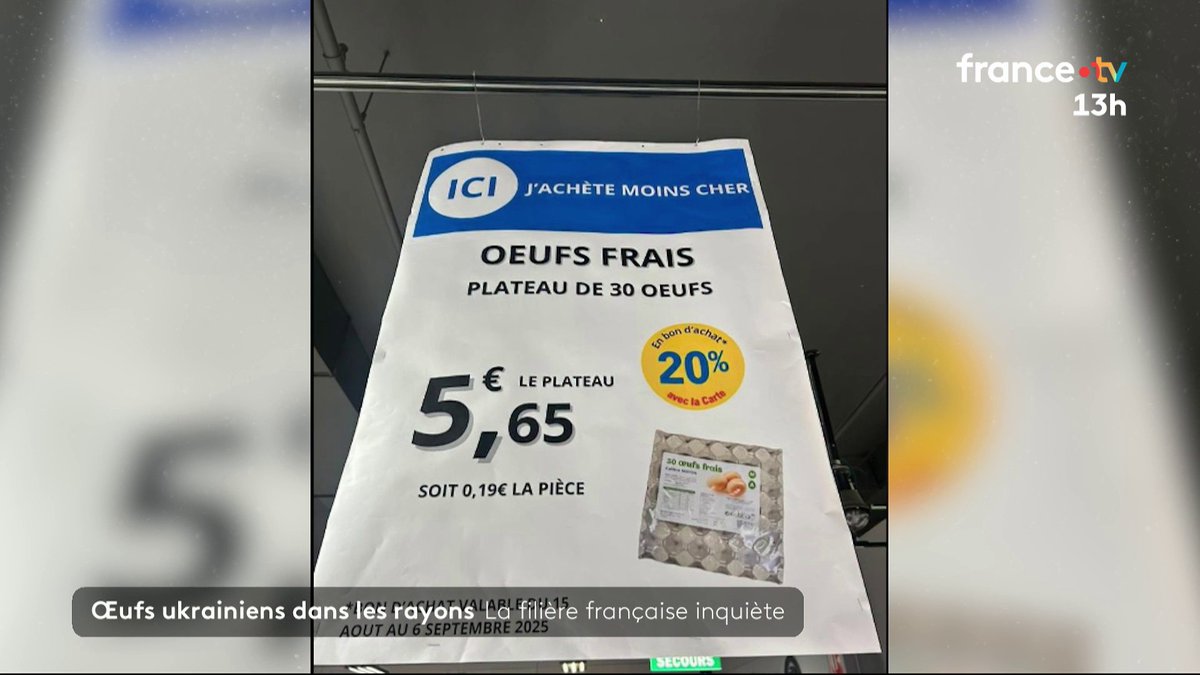 🥚Œufs ukrainiens dans les rayons : la filière française inquiète. Des prix bien plus attractifs pour ces œufs qui viennent de loin, pourtant non-conformes aux normes UE, certains producteurs français dénoncent une concurrence déloyale. #JT13H