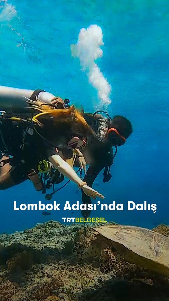 Endonezya'nın Lombok Adası'na giden Selin Uzal, su altı dünyasının güzelliklerine tanık oluyor. “Sınırsız Yollar”, 21.45’te TRT Belgesel’de.