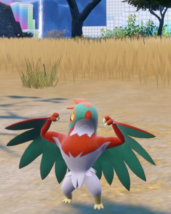 A live look at Hawlucha training! 💪