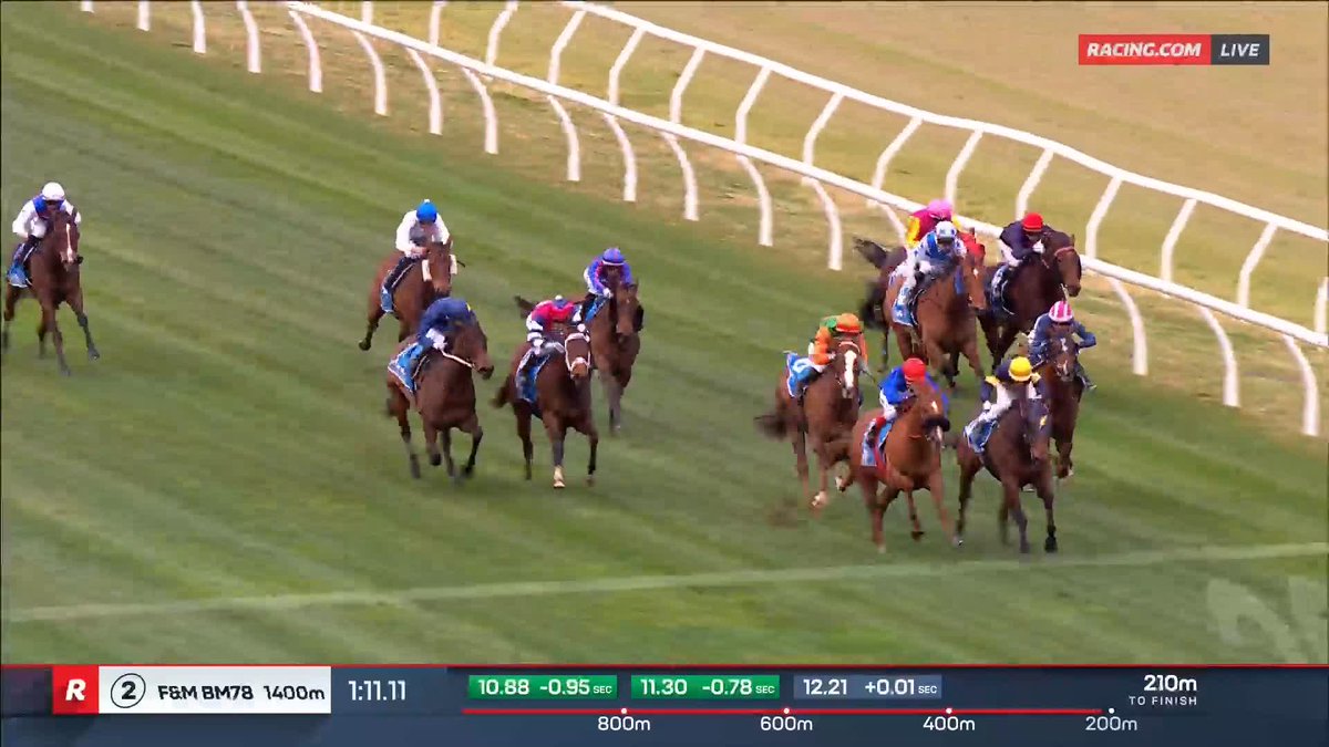 Caulfield Race 2 | On Display On Display picks up where she left off with another impressive win ⚡️ Price Kent Racing & Ben melham combine for a brilliant win in the wintry conditions 🌧️ 📺 Ch. 78/68, Foxtel 529, Kayo or via our app REPLAYS: