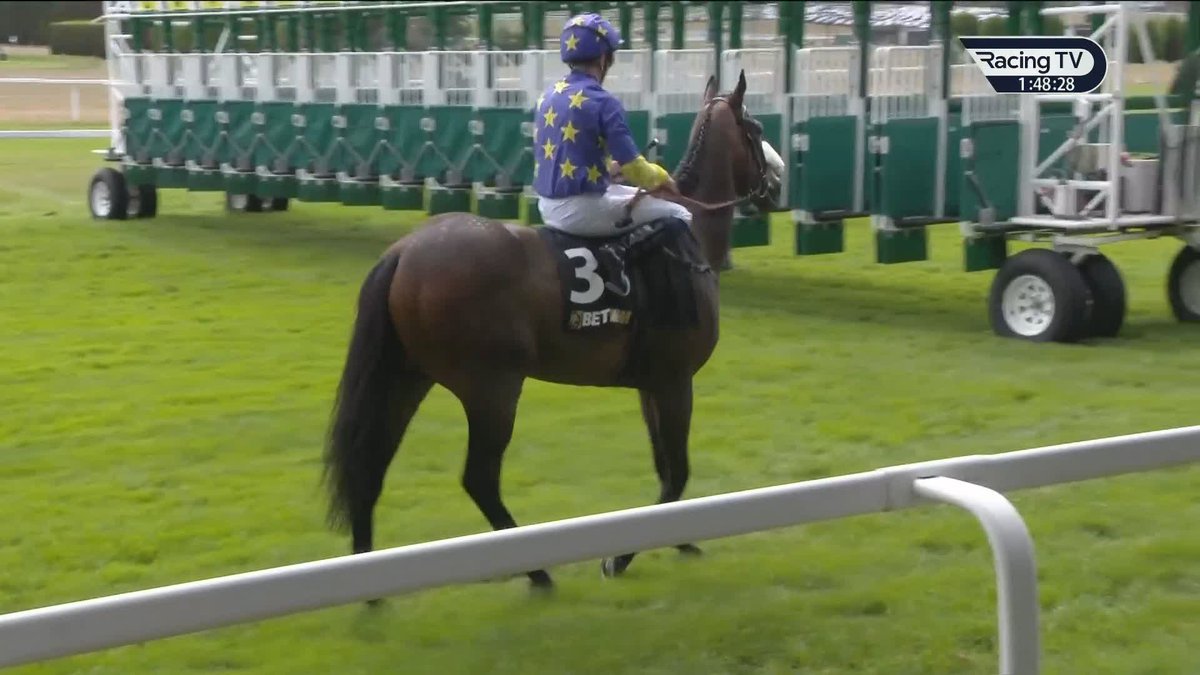 ✅ Off the mark Hawk Mountain (Wootton Bassett x Hydrangea) opens the account at the second time of asking for team Ballydoyle The Curragh Racecourse