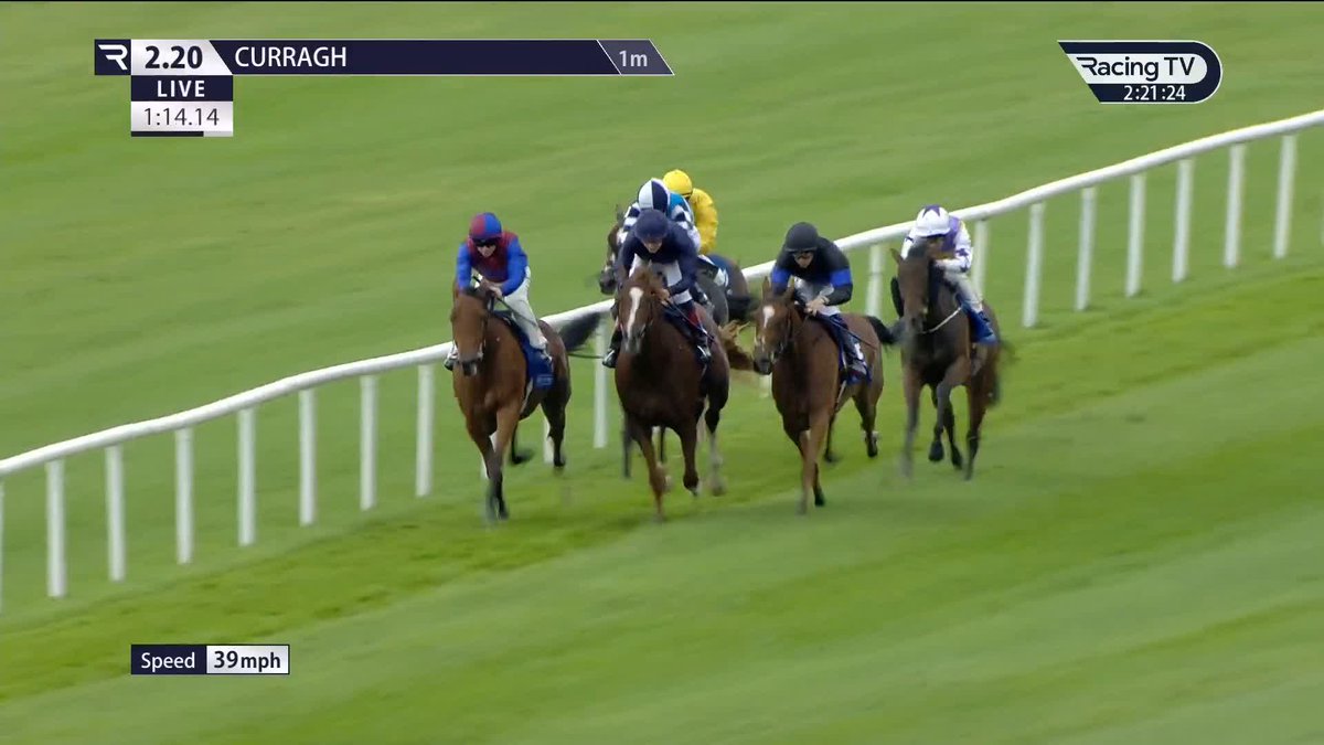 Queen Hawaii (Kingman x Hibiscus) readily lands G3 honours for Joseph O'Brien at the The Curragh Racecourse 👇🏻