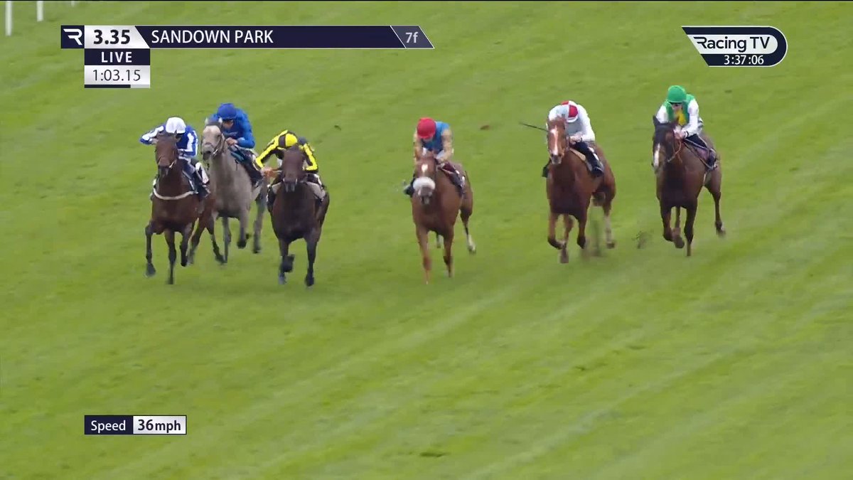 🤌 Brilliant finish to the Solario It's A Bit Of Spirit captures the G3 BetMGM UK Solario Stakes Sandown Park