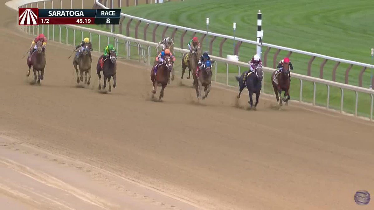 Universe pulls away to win on debut at 17/1 in R8 at Saratoga! @kennymcpeek trains and Christopher Elliot was in the irons. 💰