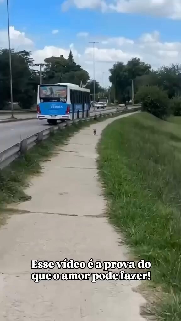 Aprendi que o amor cura, restaura, renova, o amor é bondoso e gentil... O amor é o remédio mais poderoso para curar o mundo. ❤️🐶