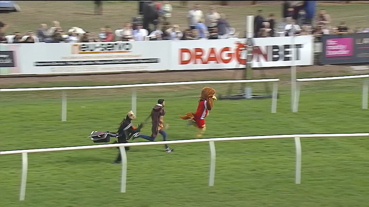 🥹 Grab a tissue, dab your eyes: Possibly the finest moment in club HISTORY! 😂 Look at the pace to finish - get in, Harry! #Harriers 🦅
