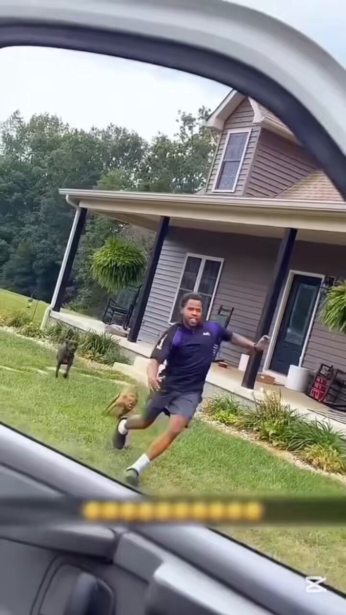 Forget action movies, delivery men dodging dogs deserve an Oscar 💀