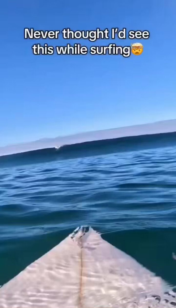 The surfer was getting ready to catch a wave when he accidentally made the best video of his life.