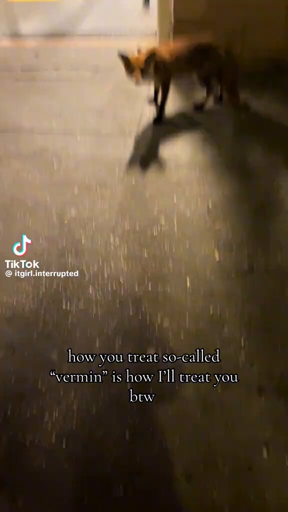 “How you treat “vermin” is how I’ll treat you.”