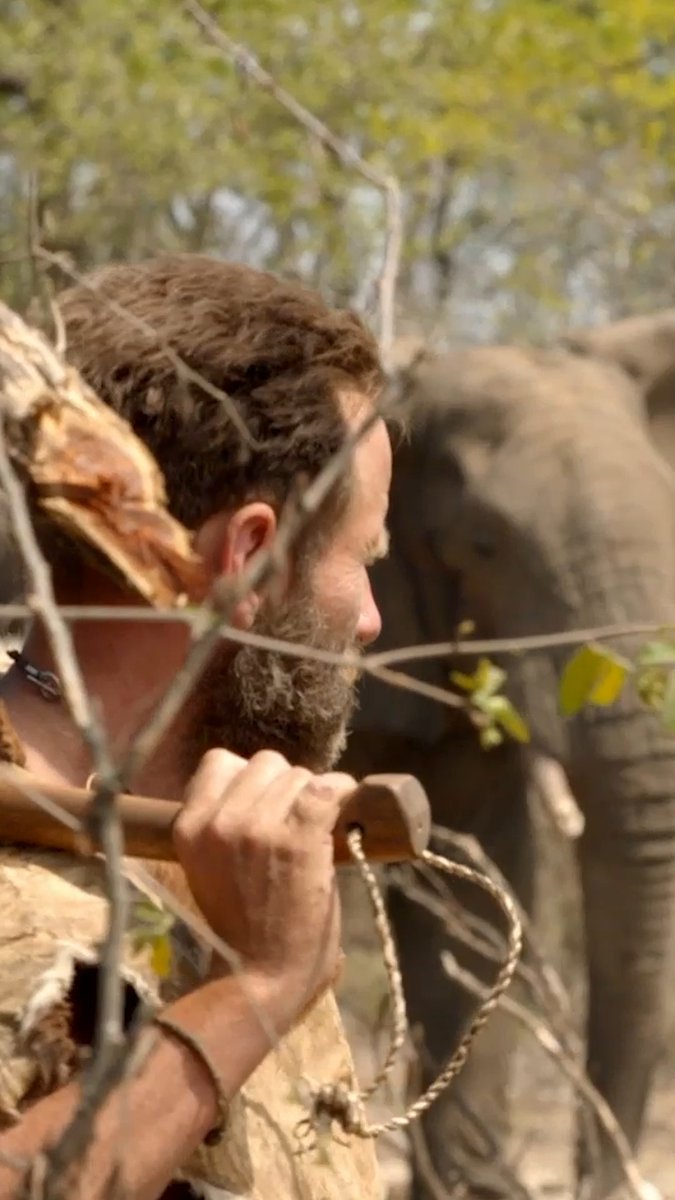 Joe faces off with a massive elephant that's encroaching on his shelter! 🐘 A new #NakedAndAfraid: Apocalypse is on NOW on Discovery.