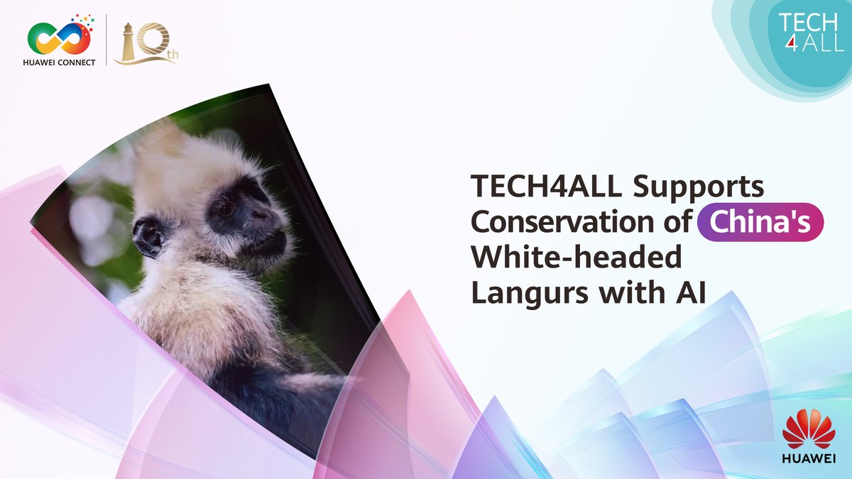 TECH4ALL is leveraging AI, 5G, and cloud to protect China's critically endangered white-headed langurs via data analysis in real time, helping rangers track sightings, and enabling targeted protection. Stay tuned for more TECH4ALL initiatives at HUAWEI CONNECT 2025 in Shanghai.
