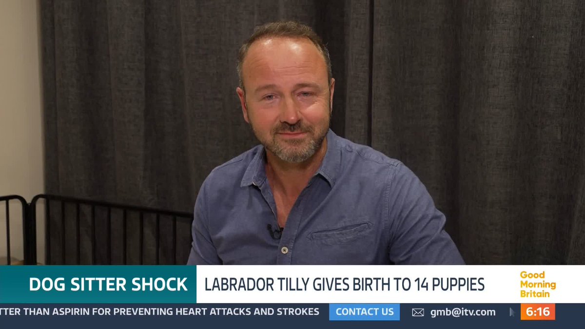 A dog sitter in South Wales suddenly became a midwife to 14 puppies when her brother's Labrador unexpectedly went into labour early. Jonathan Swain is with the newborns and their mum, Tilly.