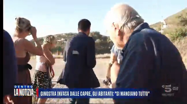A #dentrolanotizia il dramma delle 2000 capre che hanno invaso Ginostra divorando le piante di capperi. "Deve intervenire lo Stato". Rai 1 e Canale 5 si sono divise le invasioni. C'è quella dei piccioni e quella delle capre