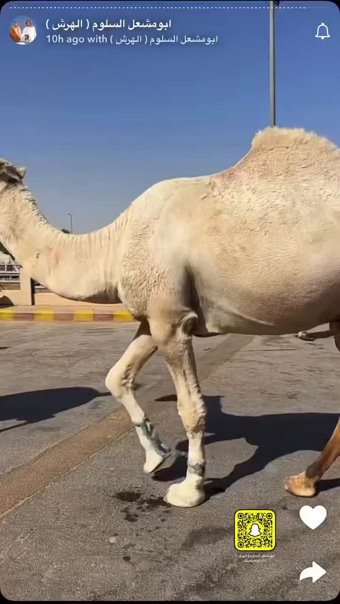 ارحم عقولنا يالسلوم اجل ٢٠٠ ألف !!