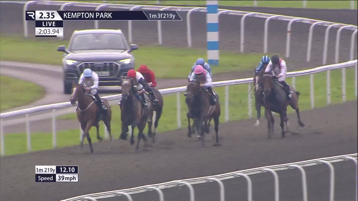 🤩 The 5-1 Arc fav returns on Saturday. KALPANA has opened up as the 4-5f for the G3 September Stakes at Kempton ahead of her crack at the 2025 Arc de Triomphe. 🏇 She landed a MAJOR gamble winning this race last year (3-1 into 1-1) for Andrew Balding.