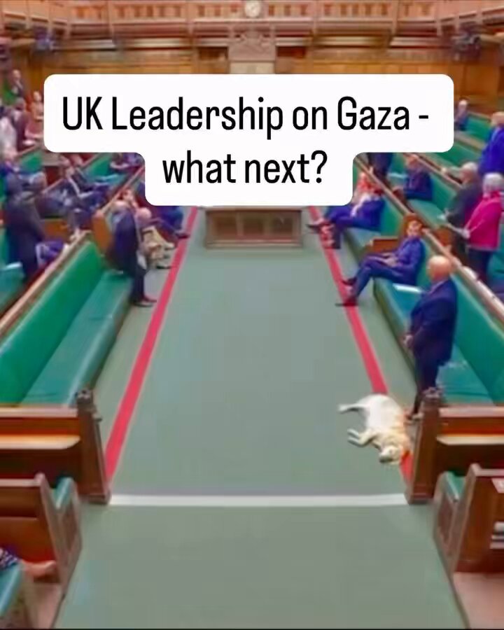 The Foreign Secretary is right the UK is doing more than many to challenge the Israeli Government’s actions in Gaza - today I raised concerns there is still more we can do in partnership with other nations.