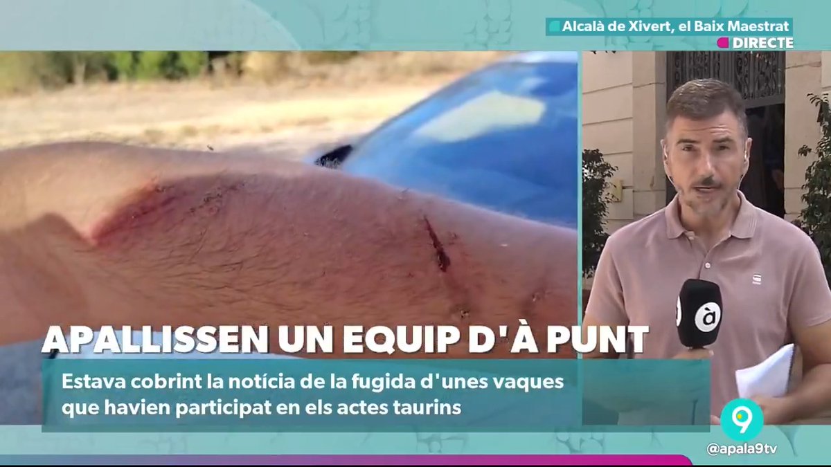 Així han quedat Jordi Fuentes, el company càmera Toni Torre i l'equipament tècnic d'À Punt NTC després de ser apallissats per dos ramaders en Alcalà de Xivert. El periodista ha perdut el coneixement i els dos es troben a l'hospital. Tot el nostre suport i ànims.