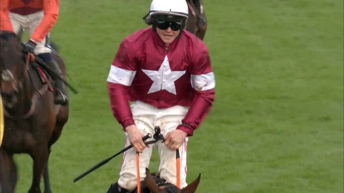 🟣⚪️ Could Gordon Elliott have a Gold Cup contender for 2026 in Stellar Story? Experience at previous festivals with winning the Albert Bartlett in 2024 and second in the Brown Advisory Chase in 2025. Is 100/1 a too big of a price?