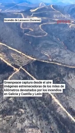 Greenpeace captura desde el aire imágenes estremecedoras de los miles de kilómetros devastados por los incendios en Galicia y Castilla y León