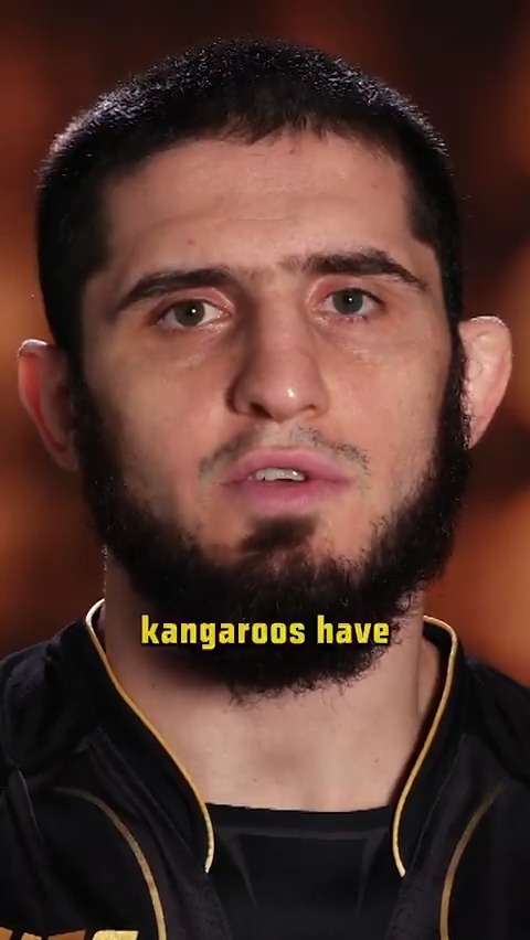 Mayweather money fight?! 💰 Kangaroo jiu-jitsu?! 🦘 @MakhachevMMA is unironically hilarious 🤣