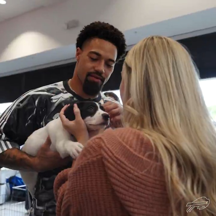 Some new additions to Mutt Mafia! 🥹 1️⃣0️⃣ helped over 19 dogs find their furrever homes. ❤️ #BillsMafia | #GoBills