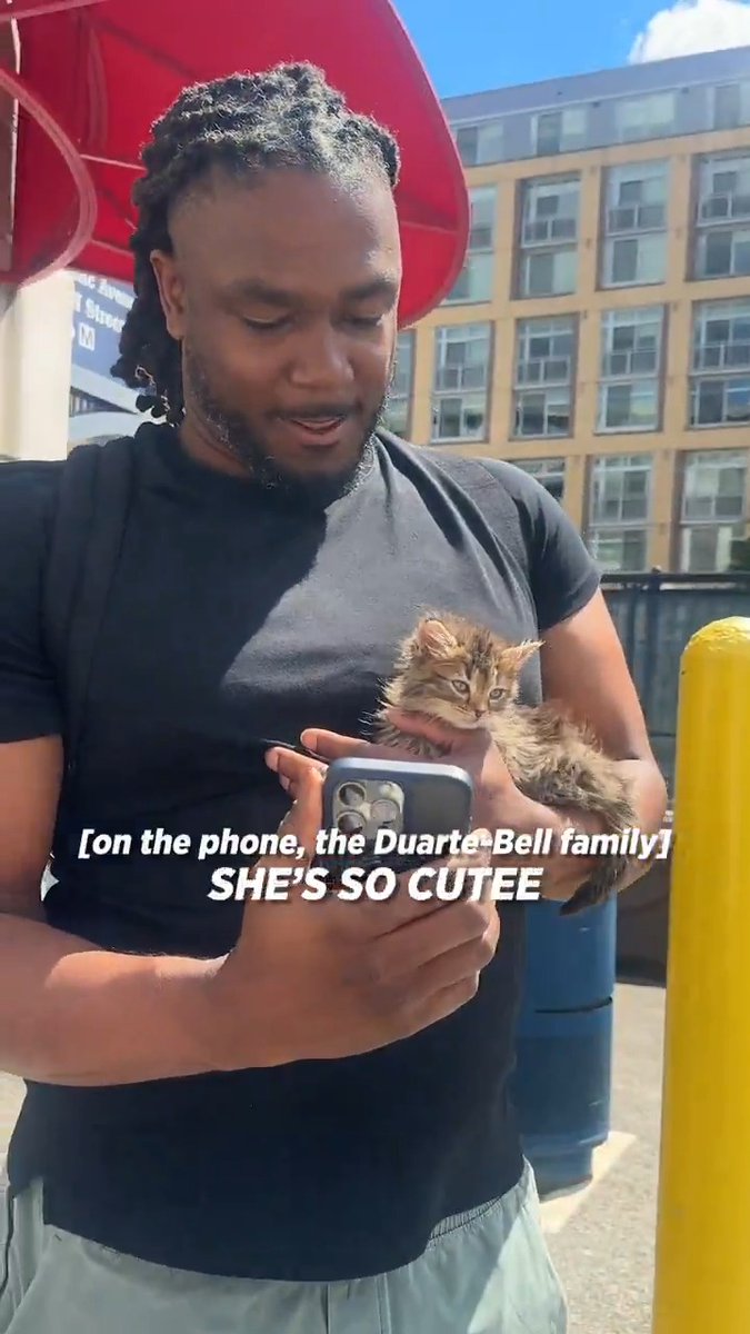 petunia + josh bell on cameo WHEN