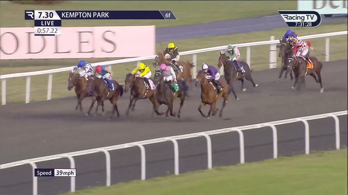 Monarch's Gold (Too Darn Hot) gets off the mark at the first attempt in the Unibet Zero% Mission/EBF Novice Stakes for Kevin Philippart de Foy, Amo Racing and David Egan. Amo Racing Kevin Philippart de Foy Racing David Egan @Unibet @darleyeurope