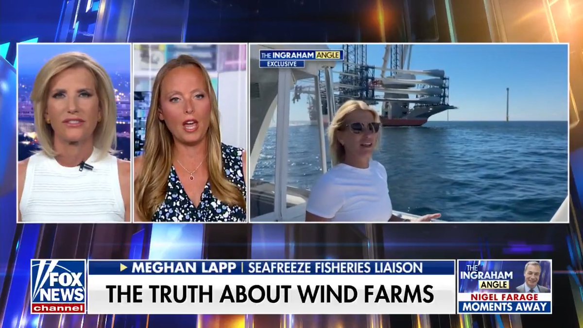 Meghan Lapp exposed the truth about wind farms: “These projects devastate commercial fishing grounds and wreak havoc on radar—defense, Navy, Coast Guard, even JFK’s air traffic control. They create false targets, mask real ones. It’s a national disaster waiting to happen.”